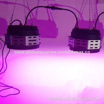 Plant Grow Lights 50W, Full Spectrum for Medicinal Plants, IP65, No Fans and Noise, for Agriculture